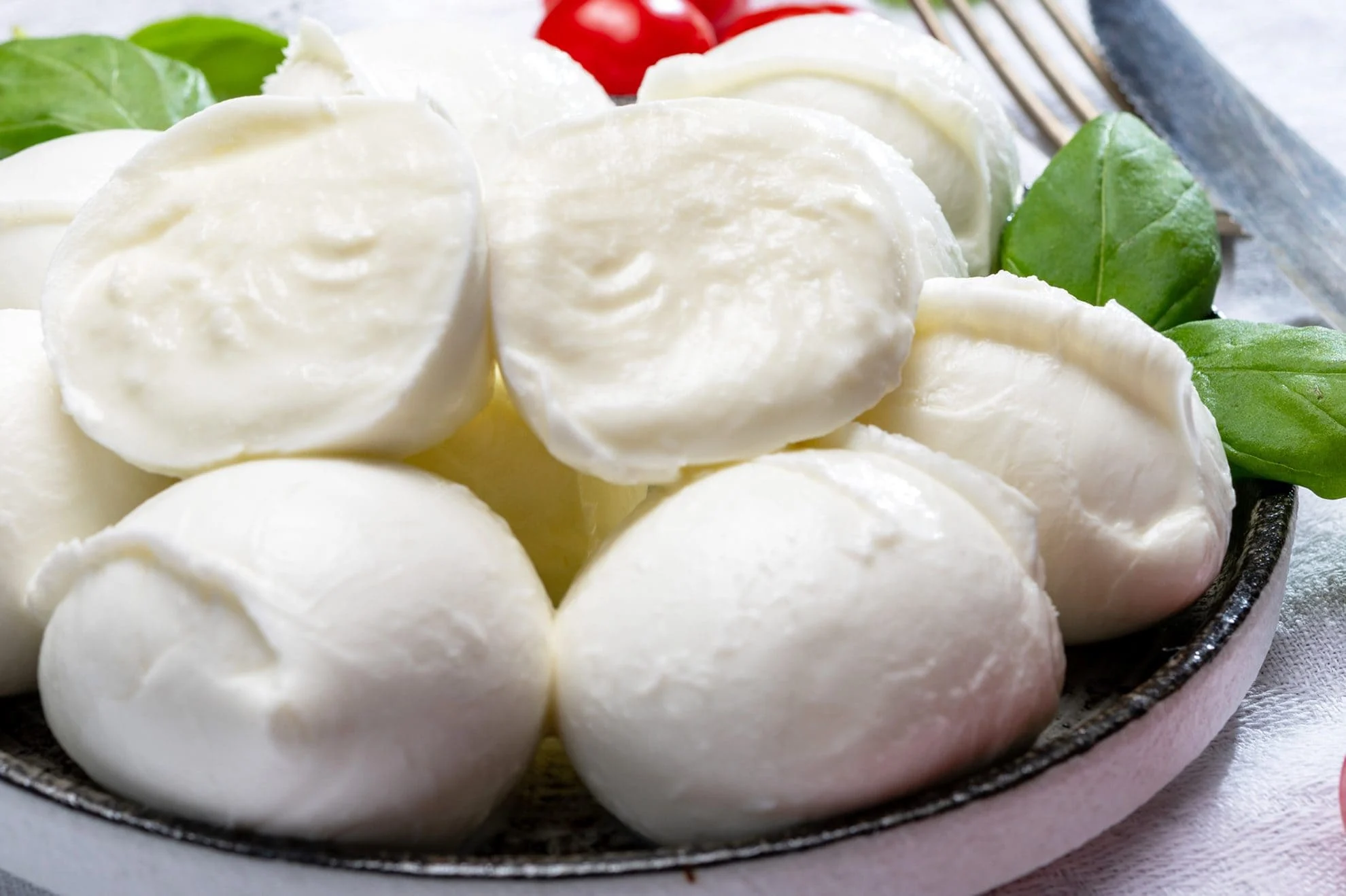 Homemade-Mozzarella-High-res-3